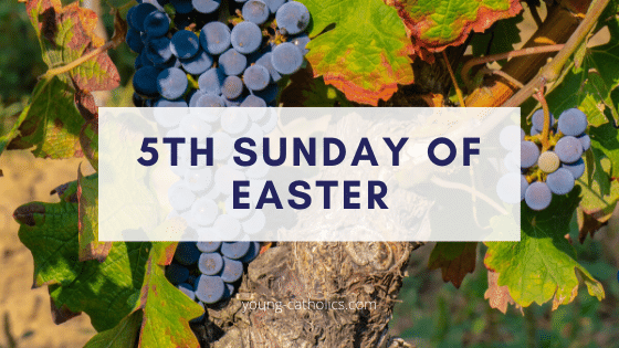 5th Sunday of Easter