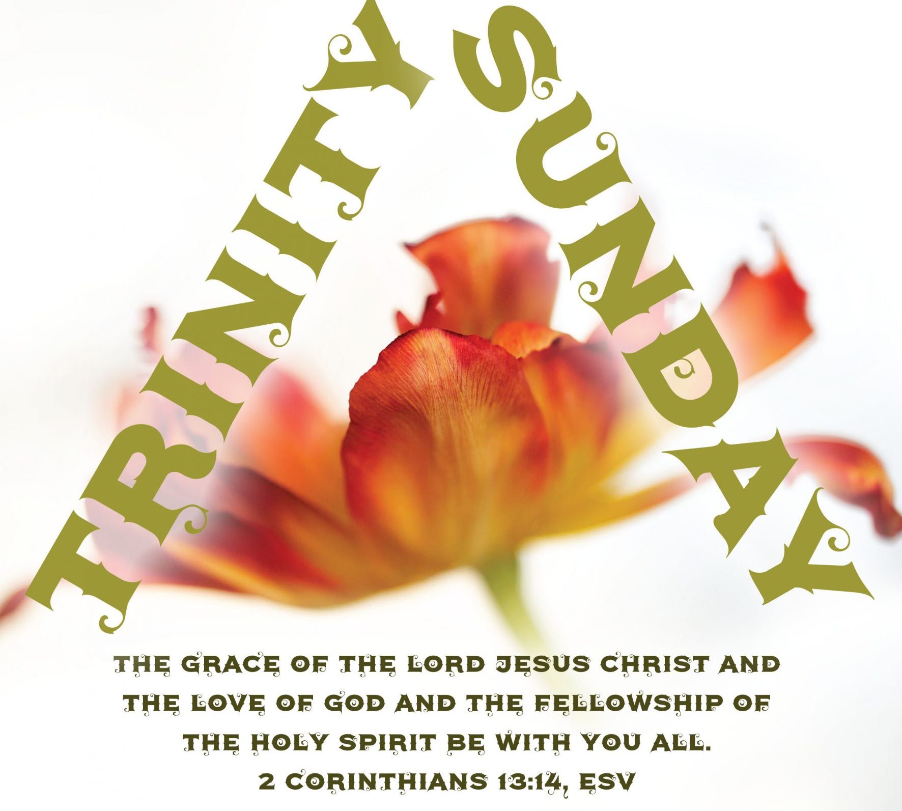 Trinity Sunday